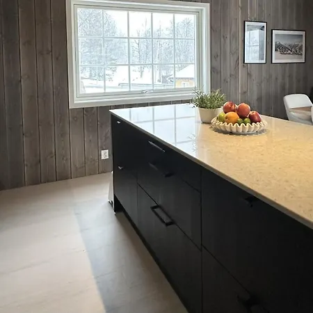 Newly Renovated House Close To Everything *